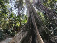 -中国科学院西双版纳热带植物园
