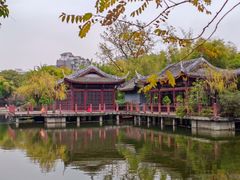 -棠湖公园
