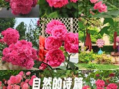 -莫多多餐厅