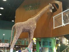 -Behring World of Animals(上海自然博物馆店)