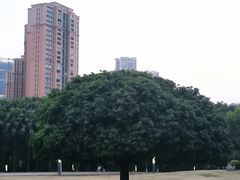 -红花山公园