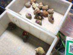 -华声天桥民俗文化园