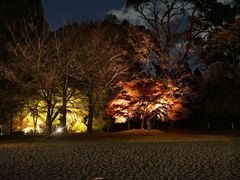 -醍醐寺