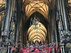 -斯蒂芬主教座堂(Stephansdom)