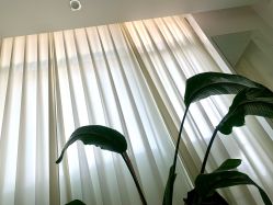 -黎蓓露·徒手骨雕蛋白抗衰·调肤管理