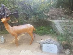 -周口店北京人遗址公园