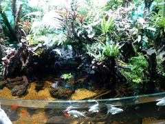 -太平洋海底世界