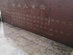-大金鹰园