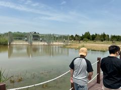 -盐城丹顶鹤湿地生态旅游区