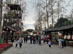 -合肥滨湖国家森林公园