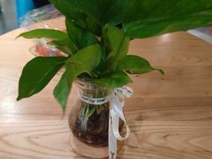 -湊湊火锅·茶憩(石家庄万象城店)