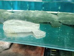 -吕氏疙瘩汤·私家菜馆(慈云寺店)