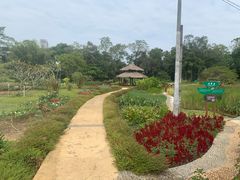 -广西壮族自治区药用植物园