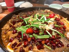 -老板恋上鱼(振华商厦店)