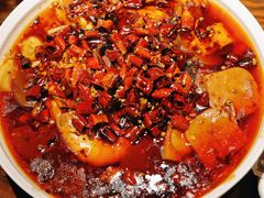 -七菜馆·东北菜·蒸饺(文体路店)