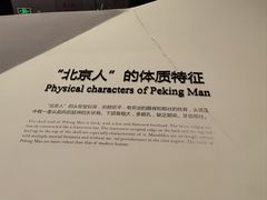 -北京周口店北京人遗址博物馆