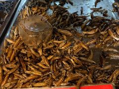 -昆虫窝子·特色云南菜(拓东路总店)