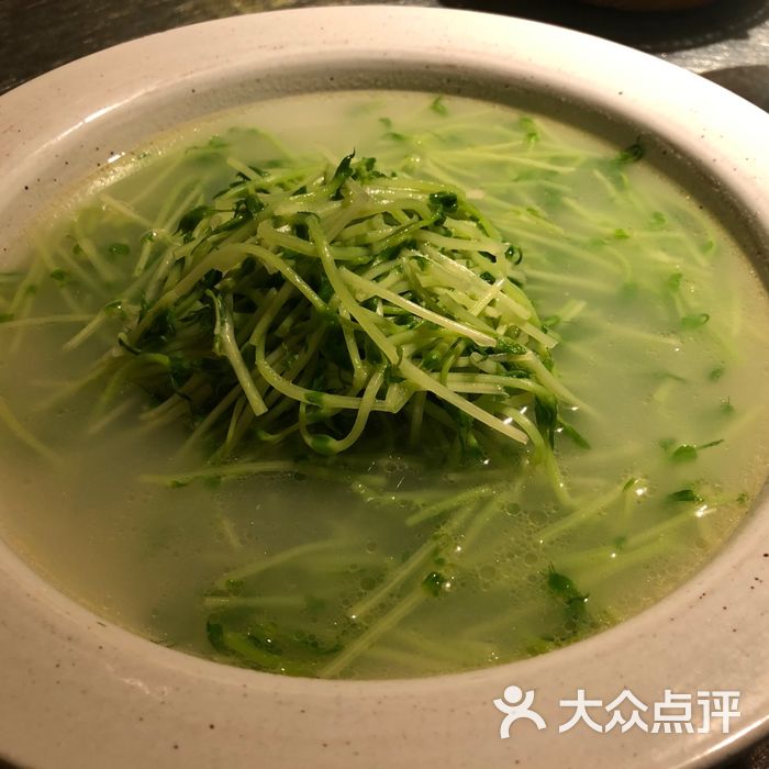 雞湯菜苗 ycypp 菜脯是隻貓 以