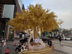 -友谊阳光城