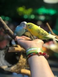 -酷嗒动物文化乐园(cutezoo西溪乐天城店)