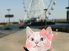 -琴岛之星摩天轮
