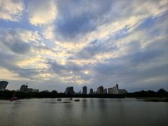 -莲花池公园