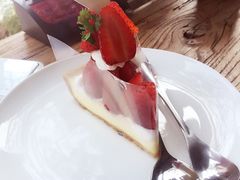 倾城密码-倾城密码(大唐店)
