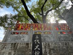 -大槐树寻根祭祖园