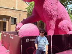 -西安电影制片厂