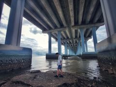 -宝安西湾红树林湿地公园