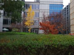 -南京国睿金陵大酒店