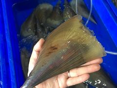 -QQ海鲜餐厅