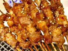 现穿羊肉串-呼伦贝尔烤羊·蒙古烤羊排(骏景店)