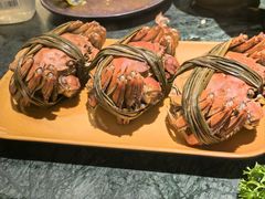 -牛New寿喜烧(中山公园龙之梦店)