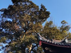 -东钱湖旅游度假区