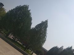 -大雁塔北广场音乐喷泉