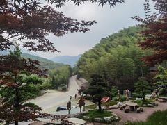 -宁波浙东大竹海景区