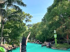 -苏州乐园森林水世界