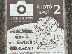 -奈良公园