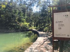 -四明山国家森林公园