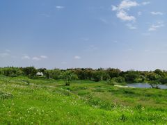 -上海长兴岛郊野公园