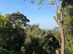 -清迈丛林飞跃 JungleFlight