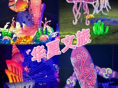 -华夏文旅海洋公园