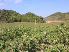 -白沙门生态公园