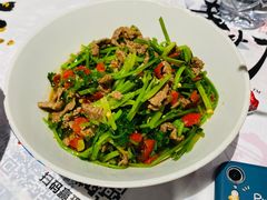 -壹盏灯(惠农店)