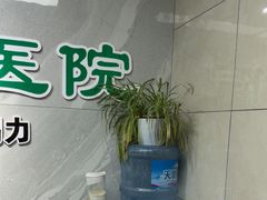 -半岛宠物医院24小时(白果林店)