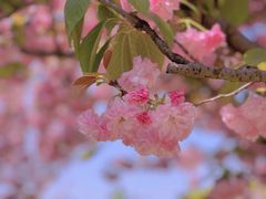 -苏州上方山国家森林公园