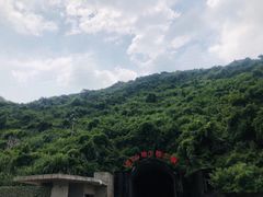 -武陵山森林公园