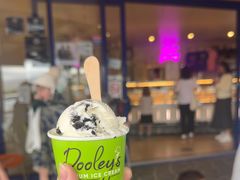 -Dooley's Premium Ice Cream