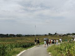 -三圣花乡旅游区